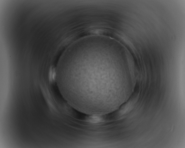 X0000092070095200710031126