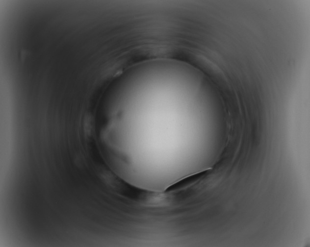 X0000092070096200710031126