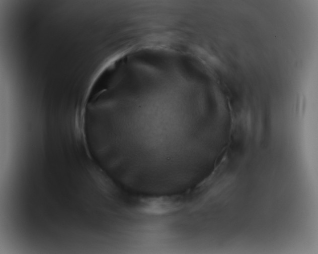 X0000092070100200710031126