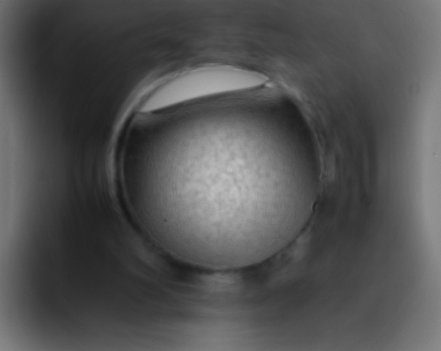 X0000092070102200710031125