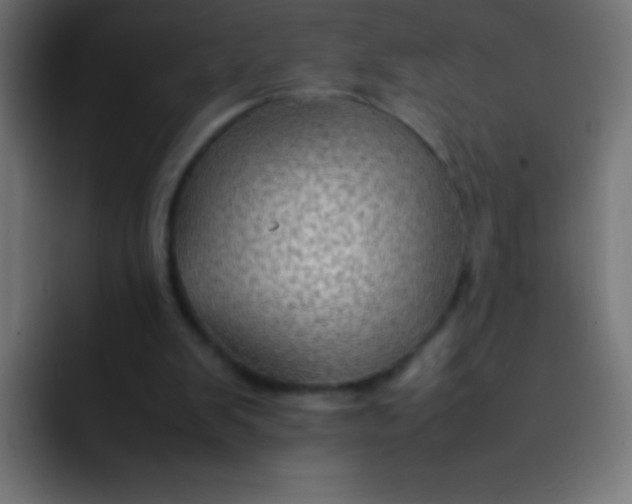 X0000092070103200710031125