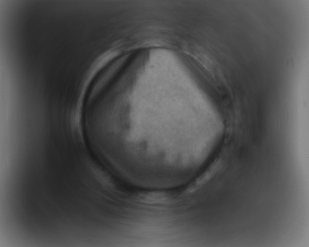 X0000092070104200710031125