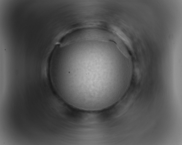 X0000092070107200710031125