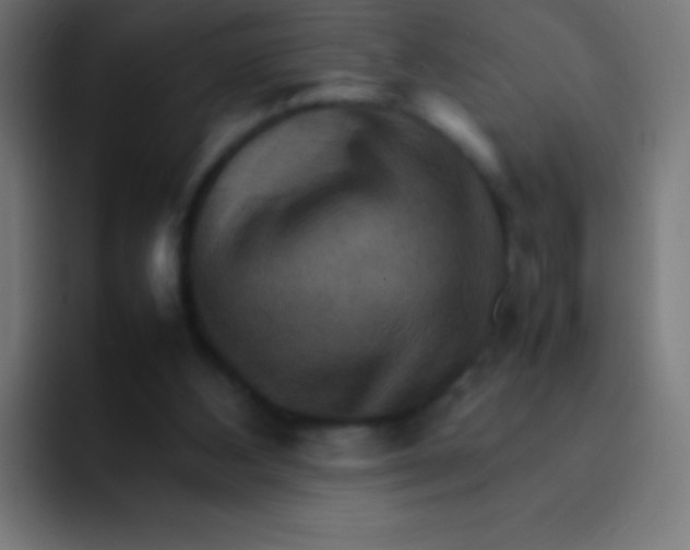 X0000092070108200710031125