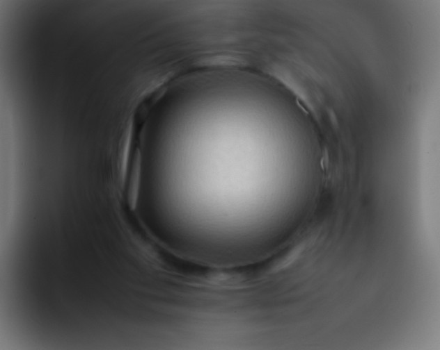 X0000092070109200710031125