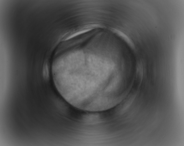 X0000092070110200710031125