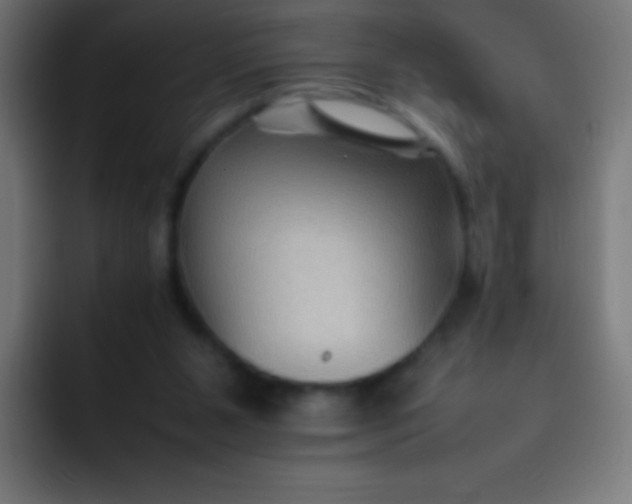 X0000092070111200710031125