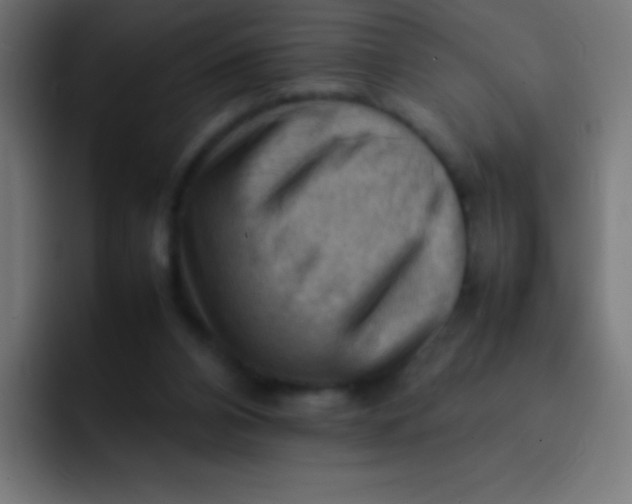 X0000092070112200710031125