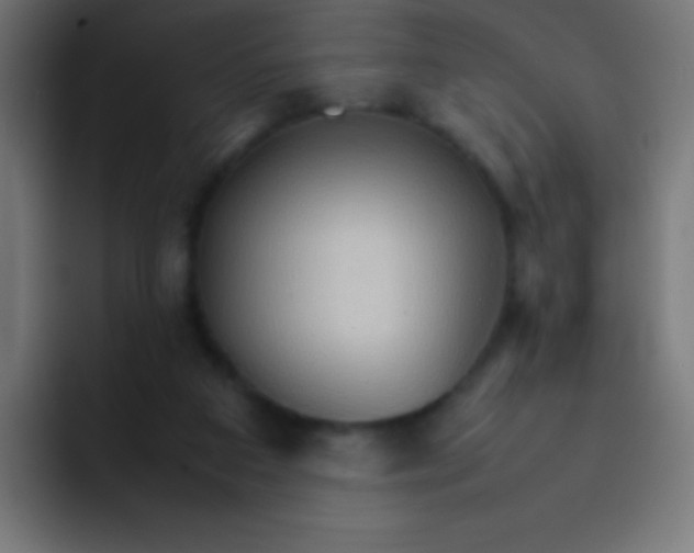 X0000092070113200710031125