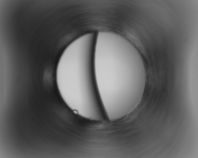 X0000092070116200710031125