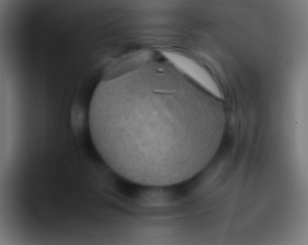 X0000092070123200710031125