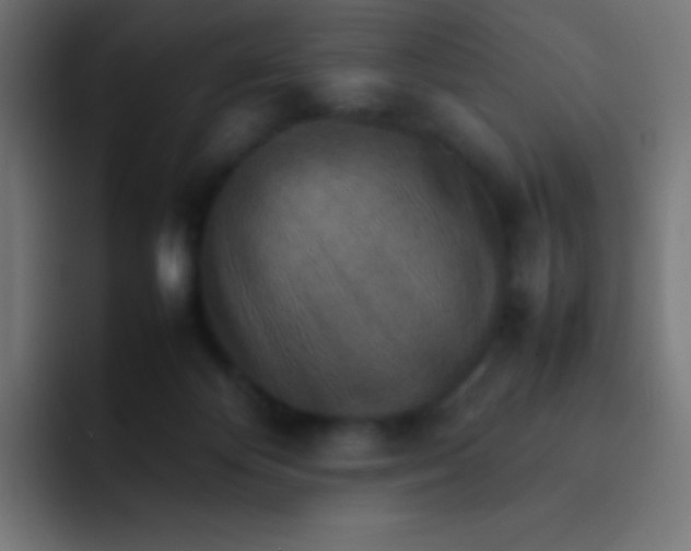 X0000092070124200710031125