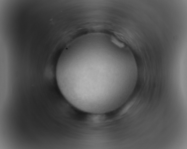 X0000092070135200710031125
