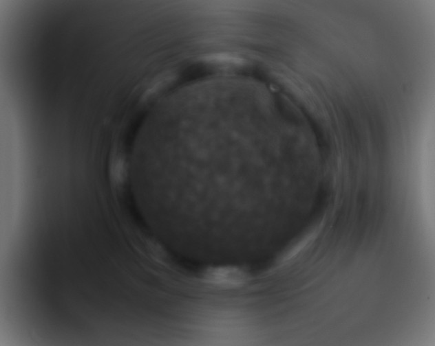 X0000092070137200710031125