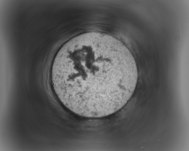 X0000092070145200710031124