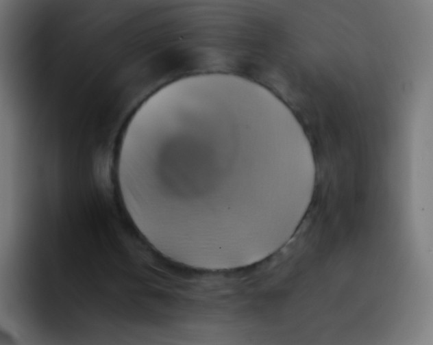 X0000092070146200710031124