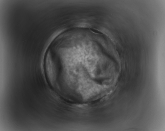 X0000092070147200710031124