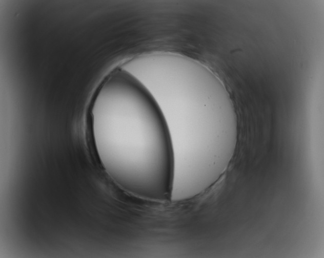 X0000092070148200710031124