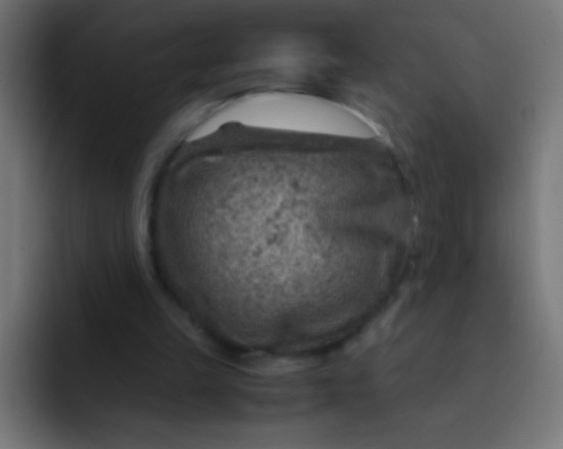 X0000092070149200710031124