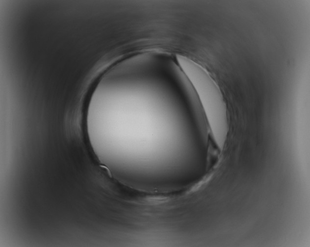X0000092070150200710031124