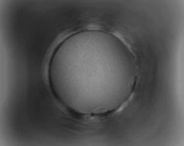 X0000092070151200710031125