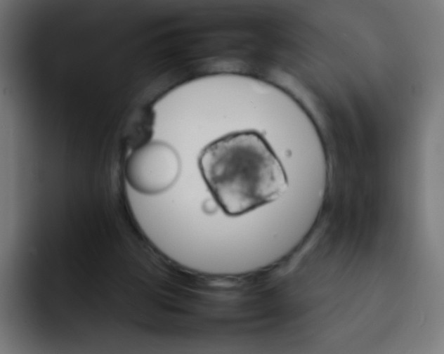 X0000092070153200710031125