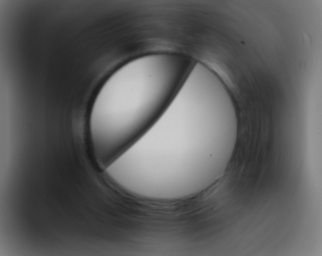 X0000092070156200710031125