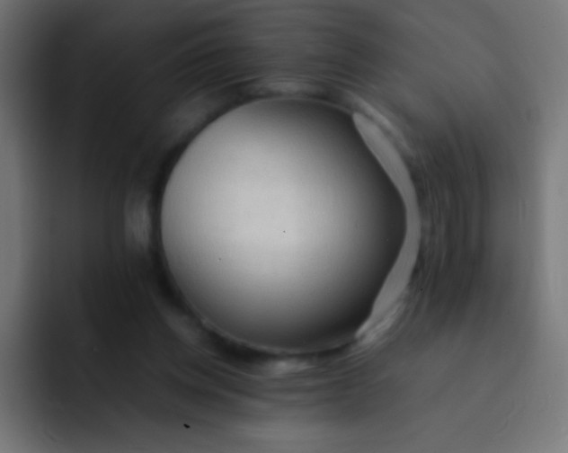 X0000092070158200710031125