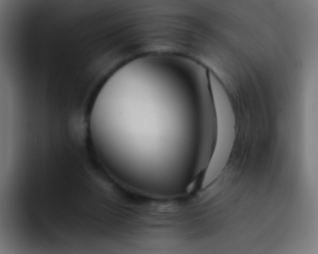 X0000092070160200710031125