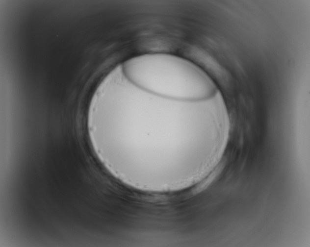 X0000092070162200710031125