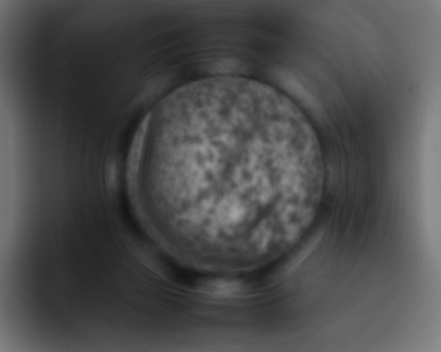 X0000092070165200710031125