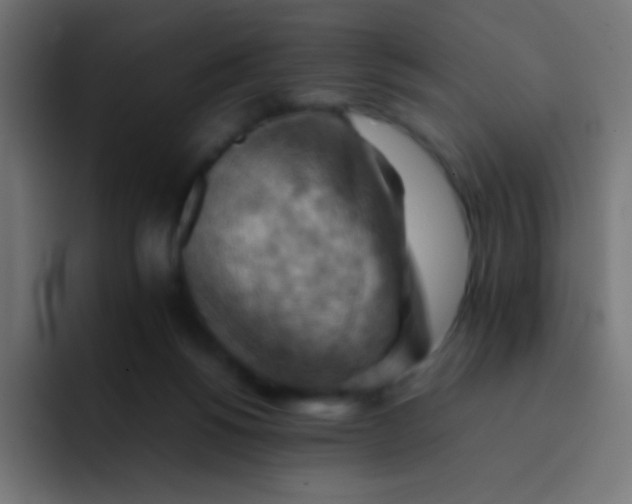 X0000092070168200710031125