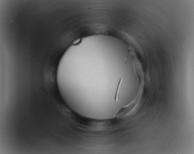 X0000092070170200710031125