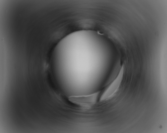 X0000092070176200710031125