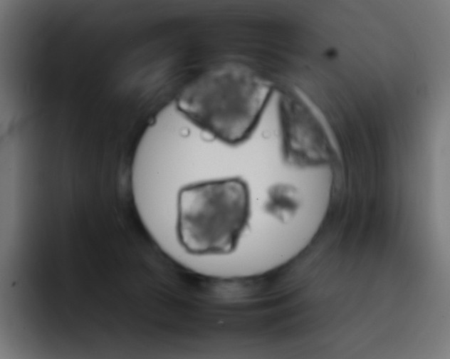 X0000092070177200710031125