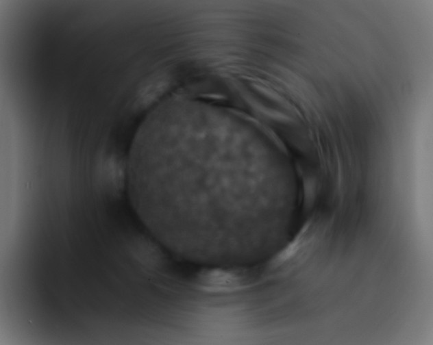 X0000092070180200710031125