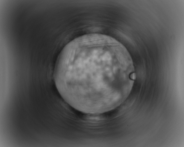 X0000092070181200710031125