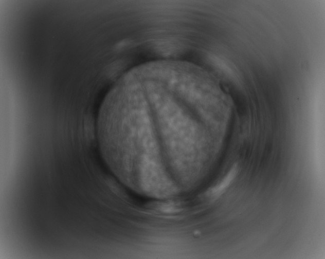 X0000092070182200710031125
