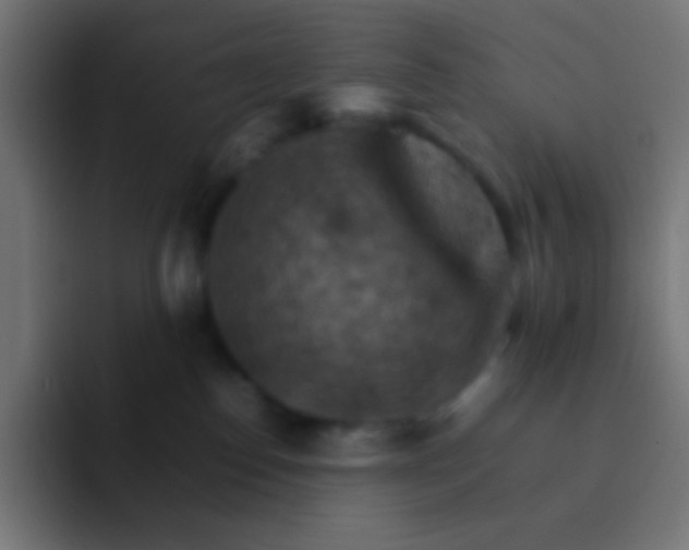 X0000092070186200710031125