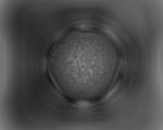 X0000092070189200710031125