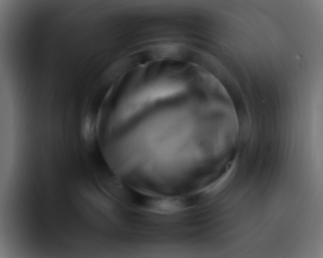X0000092070191200710031125