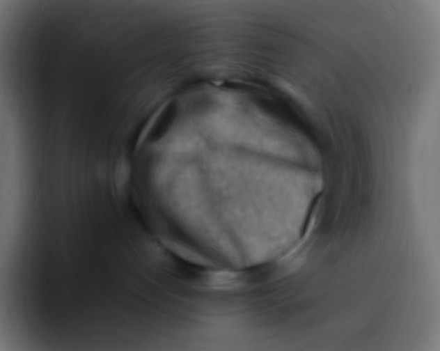 X0000092070192200710031125