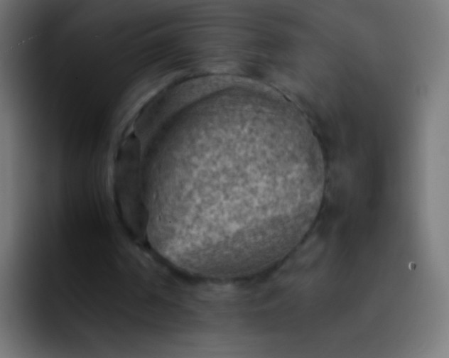 X0000092070194200710031124
