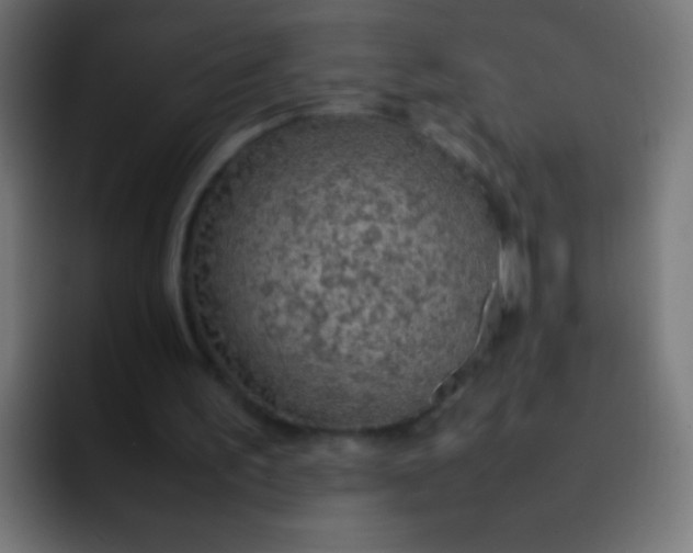 X0000092070195200710031124