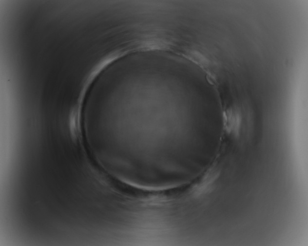 X0000092070196200710031124