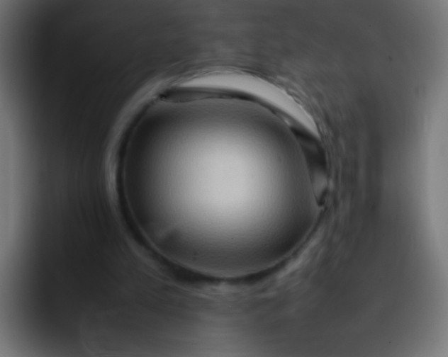 X0000092070197200710031124
