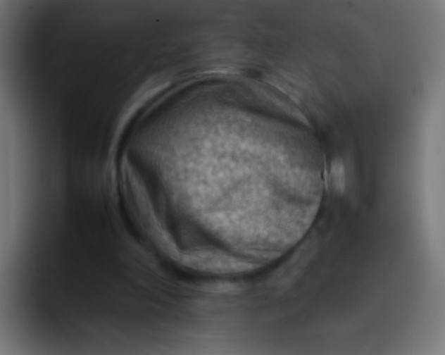 X0000092070198200710031124