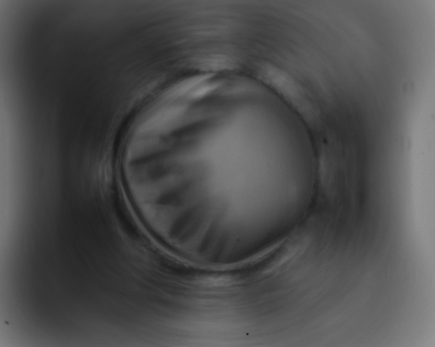X0000092070202200710031124