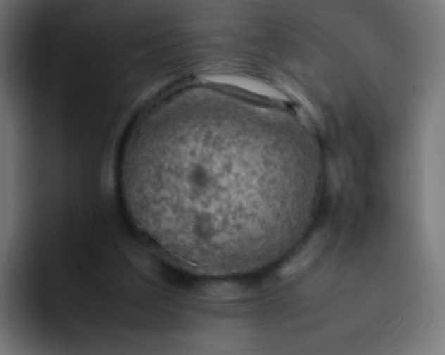 X0000092070203200710031124