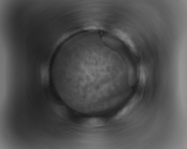 X0000092070204200710031124